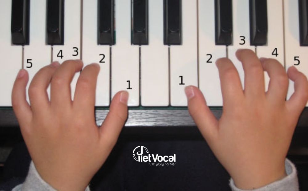 Vị trí đặt tay lên phím đàn Piano chuẩn cho người mới bắt đầu