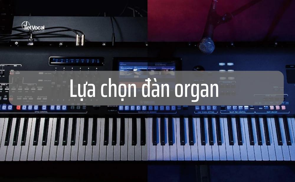 Lựa chọn đàn organ