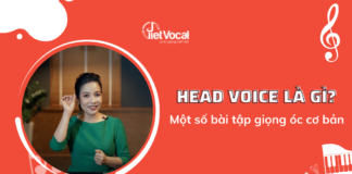 head-voice-la-gi