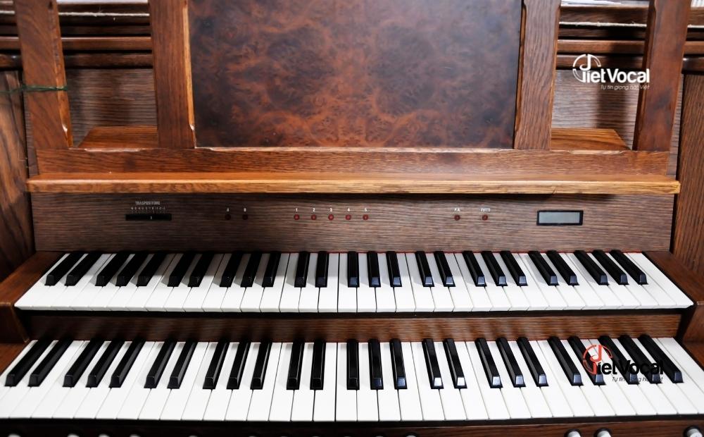 nhạc cụ organ