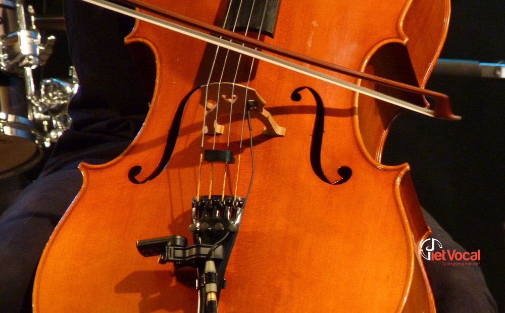 tim-hieu-ve-dan-cello-3