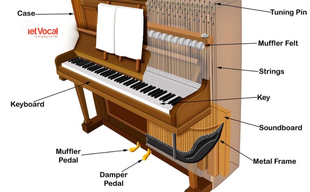 cau-tao-cua-dan-piano-1