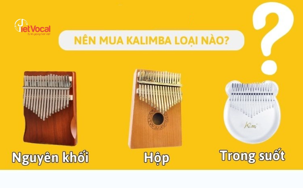 cach-choi-dan-kalimba-co-ban-1