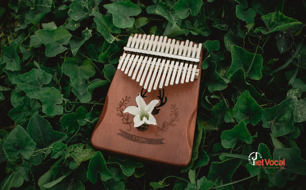 tong-quan-ve-dan-kalimba-2